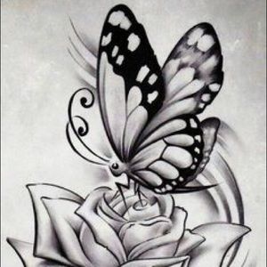 Meet your Posher, Iris